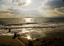 Beach in the evening